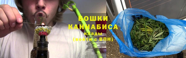 молекула духа Липки