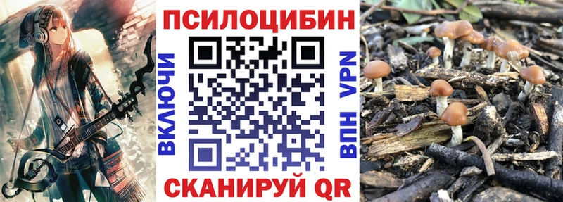 Псилоцибиновые грибы Psilocybine cubensis Лобня